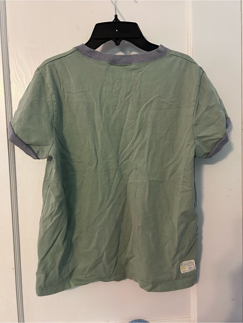 Sage Green Ringer Tee with Sunset Graphic - Picture 2 of 3